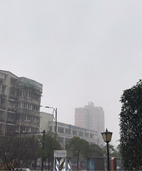今天,在路上的人都是不要命的!