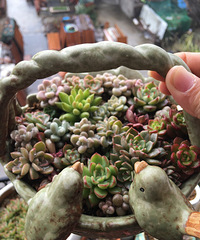 һ������