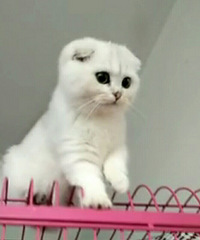 �������·���ʩ��