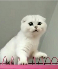 �������·���ʩ��