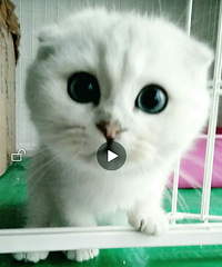 �ұ����ڷ����