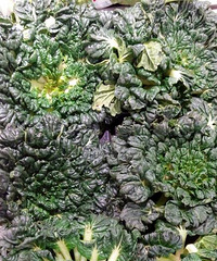 �ǲ��Ƕ��⣿