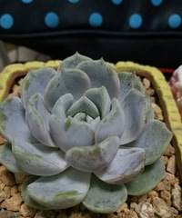 12.21������