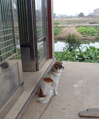 ���Ź������ˣ���Ů����