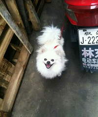 ��æ������