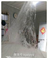 �ٷ�֮�ٲ�˿������Ҫ��˽��