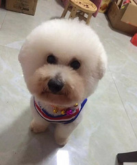 ���Ҽ�Ƥ����������BB