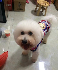 ���Ҽ�Ƥ����������BB