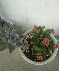 Ը�Լ�����Щ����ǿ