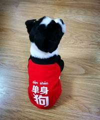 �Ҽҵ�Ҳ��[��������]