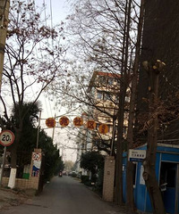 ��ʬ����ͣ��С���ſڣ��� ����������