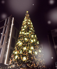 Merry Christmas !