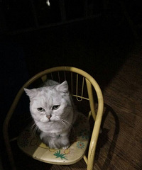 ���̵ܵ����¼�