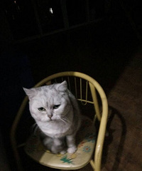 ���̵ܵ����¼�