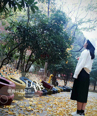 �Ҷ����������