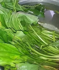 农村到处都是的车前草(杭州广播电视报读者生活馆)