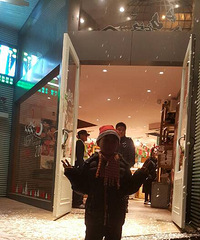 ��Ҫ������Ʊ