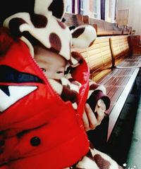 ����Ҫ��������Ʊ��