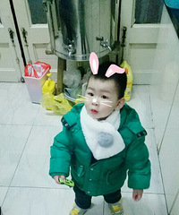 ��Ҫ��������Ʊ