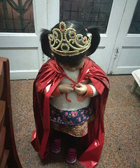 ����Ҫ��������Ʊ��