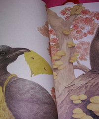 �������ļ���СTONG�ҷ�����