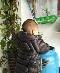 ����Ҫ��������Ʊ������˵����ֻ�����񻨣�Ҫ������