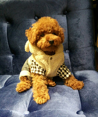 �Ҽҳ�С����