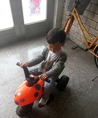 ��������