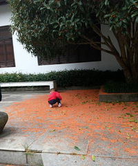 �𻨼�����