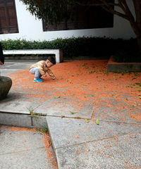 �𻨼�����