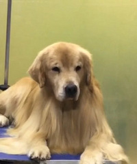 ������̩��