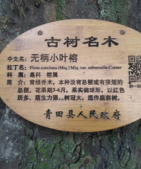 从杭州出发,50分钟车程,在这里和雾霾暂时说拜拜