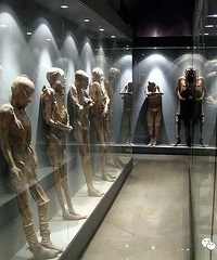 有点惨 生前交不起税 死后就要被挖出来供人参观