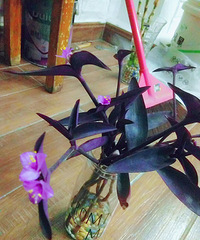 �Ҽҵ�������������