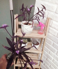 �Ҽҵ�������������