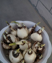 �Һ��ڴ��������