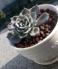 ��19¥�鲩���͵Ķ��⡿��ζ������ڱ�����