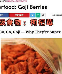 "枸杞怎么吃补肾 几种补肾效果极佳的方法"