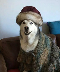 ��һ���䣬�м�ʺ�پ������䡭��