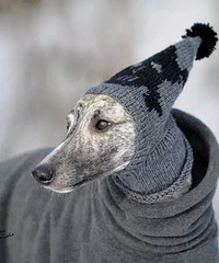 ��һ���䣬�м�ʺ�پ������䡭��