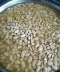 �����.����������������˵�