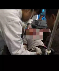 ɥ�Ĳ�����������׶�԰  ����11���׶�...