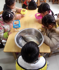 ��ʦ˵��һ��С�����۲�...������