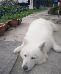 �㻹���ٵ���һ��ë��