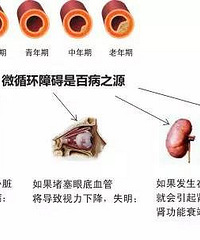 我们要想健康长寿,就要关照好身体的每个系统。