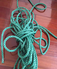 ����Ҫ���� �����������������������