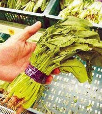 蔬菜蔫了怎么办,教你恢复水嫩新鲜的模样