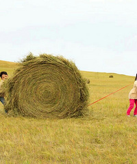 ����Ҫ��ӰƱ��