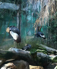 ��Ҫ��ӰƱ���ڴ��ڴ���