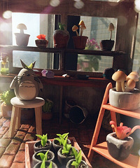 龍貓光顧了小花園噢~